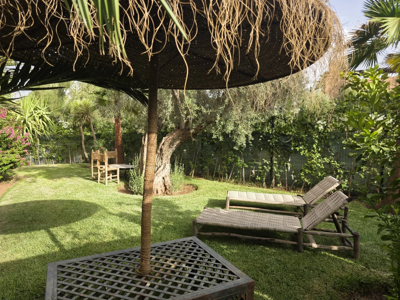 Garden with loungers and a parasol in front of the riad